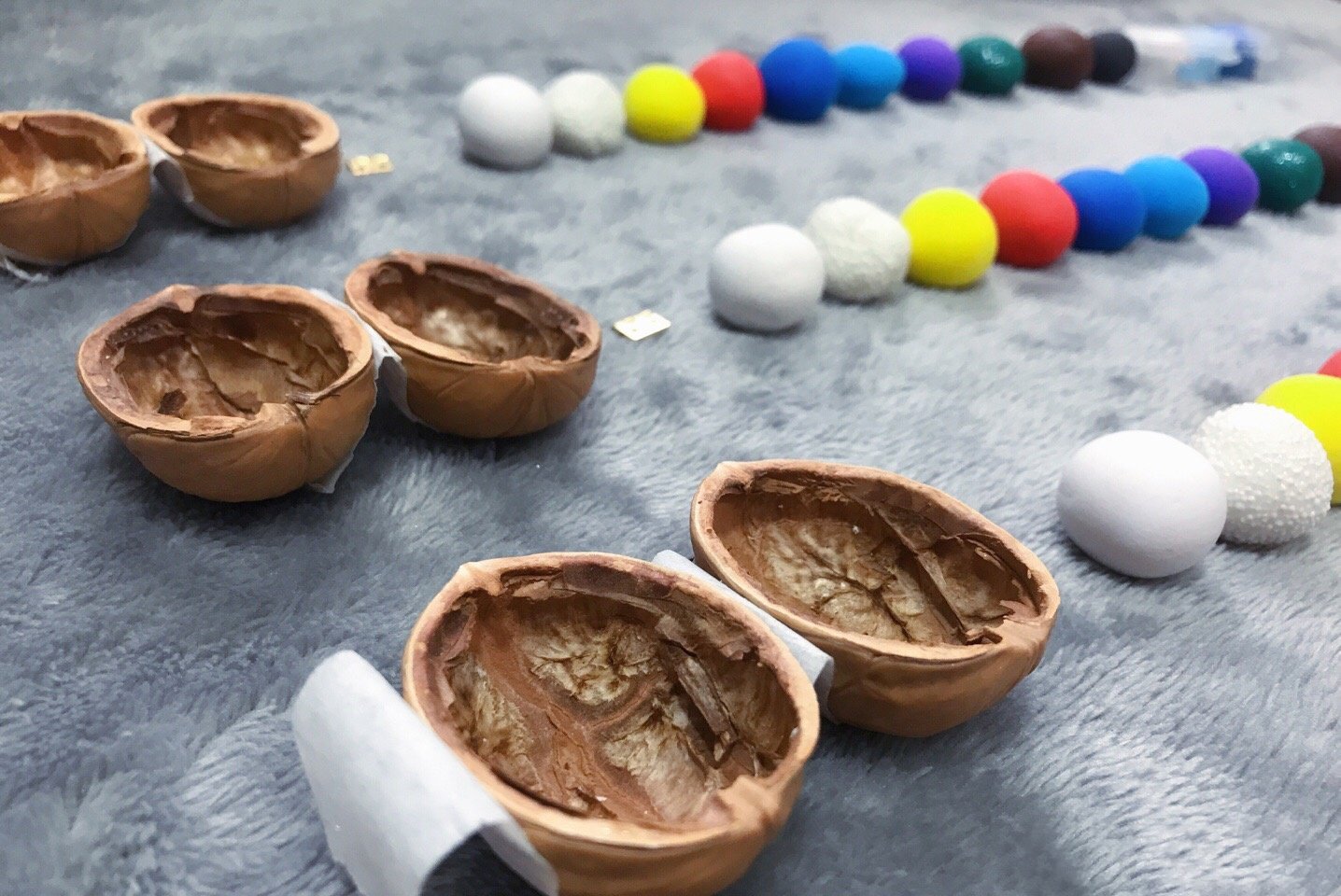 Bella Handmade Walnut Shell Dollhouse - Mini Library, Tiny World Inside Walnut