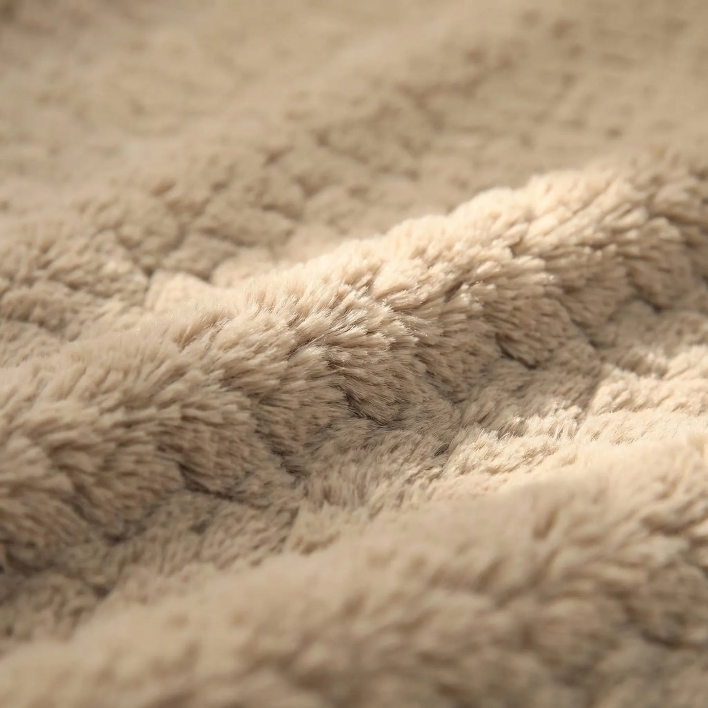 Bella | Pawventure Flat Orthopedic Foam Dog Mat