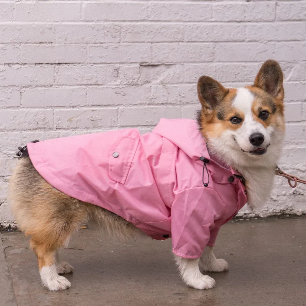 Dog Raincoat Georgie