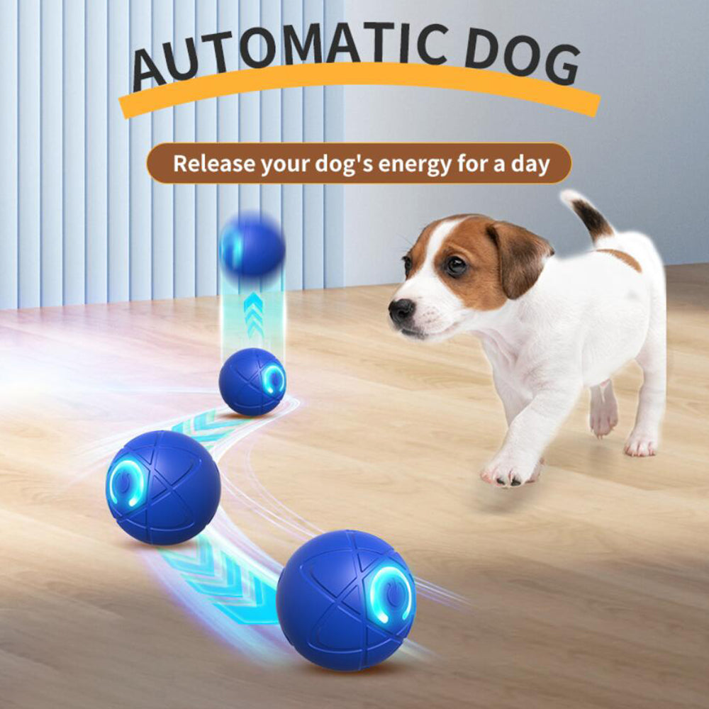 Interactive Automatic Ball for Dogs and Cats