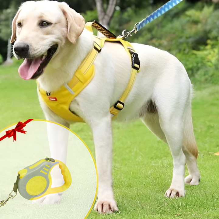 No-Pull Dog Harness
