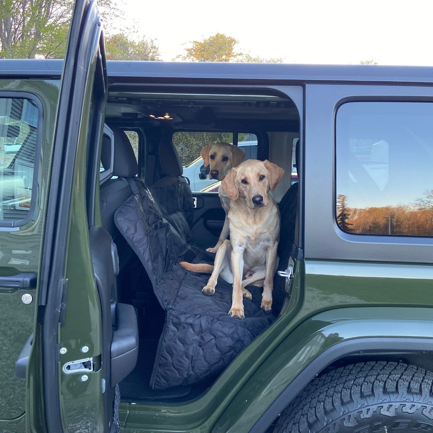 Pet Protection Car Seat Cover | Includes Seat Belt