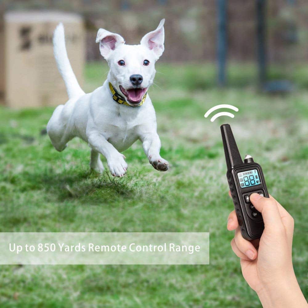 Waterproof Electric Dog Training Collar with Remote, 800m Range