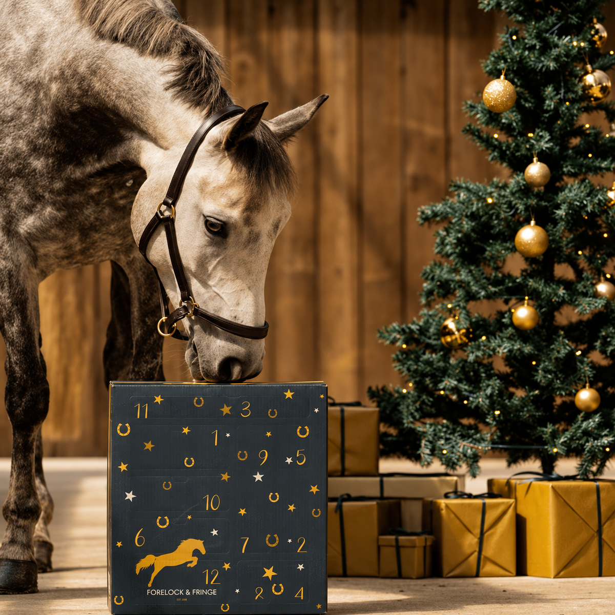 2026 Horse Advent Calendar