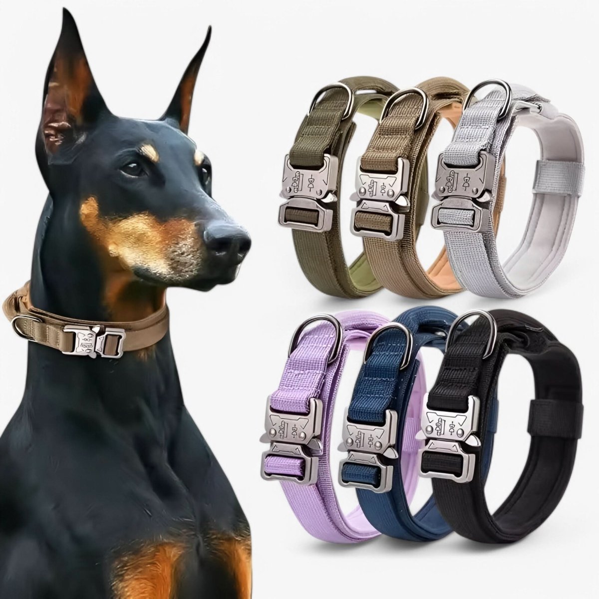 Adjustable Dog Collar Made of Durable Nylon, Waterproof, Ergonomic Handle, for Medium and Large Dogs