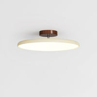Adjustable Flush Mount Ceiling Light - Modern Style Lighting - Bedroom & Living Room Fixture