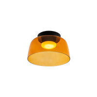 Amber Glass Flush Mount Ceiling Light - Modern LED Fixture for Living Room Hallway