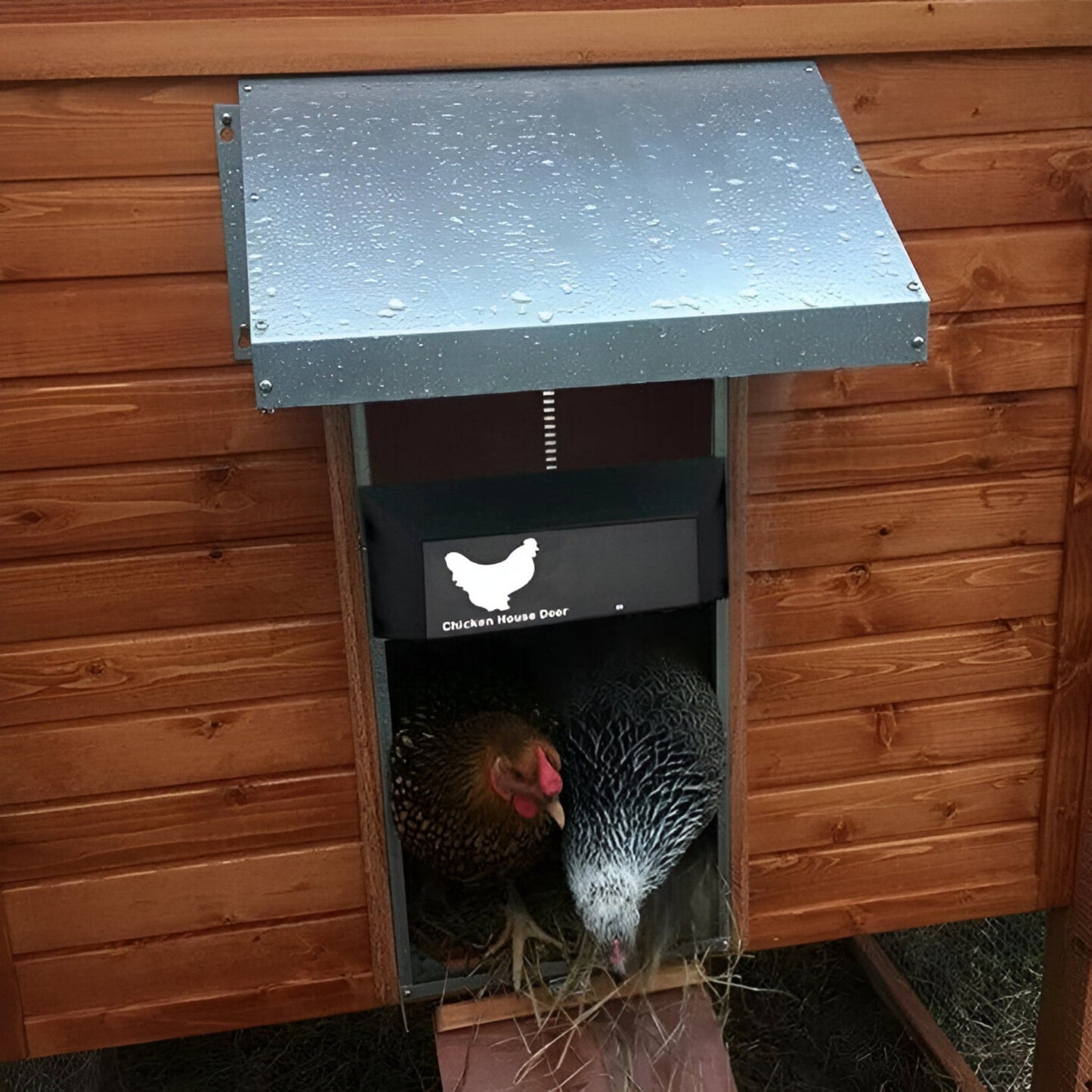 Automatic Chicken Coop Door - Brown - Secure Poultry House Solution - Image 2