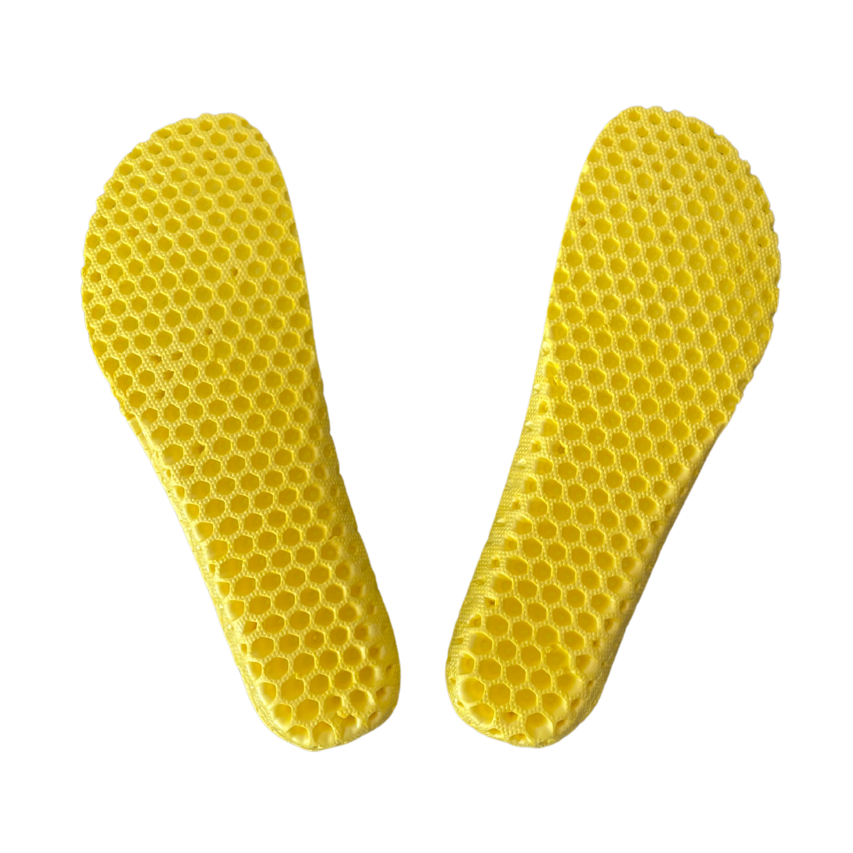 Barefoot Shoe Performance Insoles