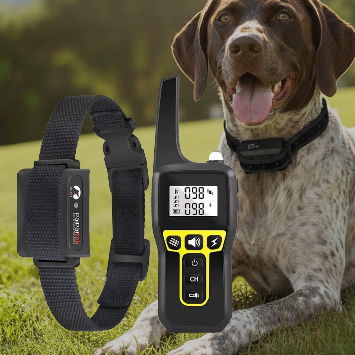 Bella | 1000m Waterproof Dog Training Collar | Rechargeable, Remote Control & Adjustable for Small, Medium, and Large Dogs