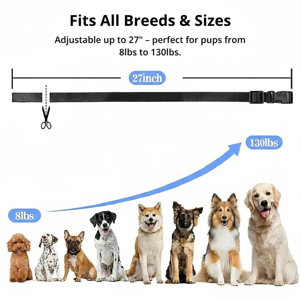 Bella | 1000m Waterproof Dog Training Collar | Rechargeable, Remote Control & Adjustable for Small, Medium, and Large Dogs