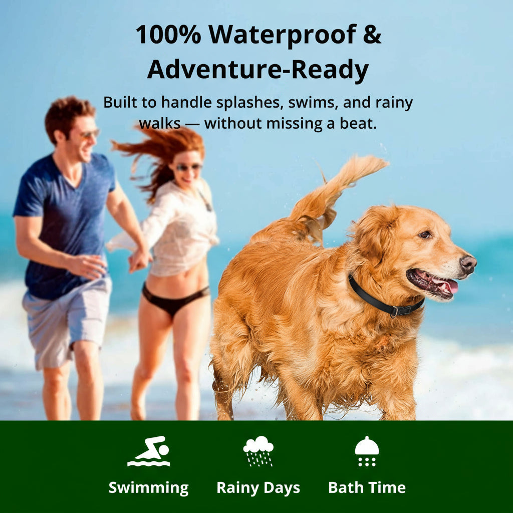 Bella | 1000m Waterproof Dog Training Collar | Rechargeable, Remote Control & Adjustable for Small, Medium, and Large Dogs