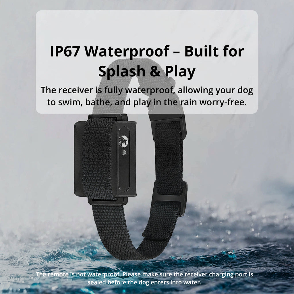 Bella | 1000m Waterproof Dog Training Collar | Rechargeable, Remote Control & Adjustable for Small, Medium, and Large Dogs