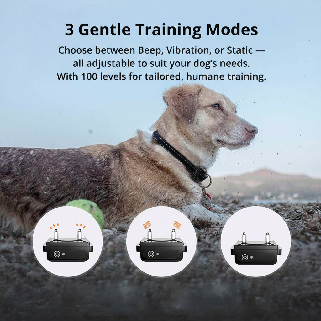 Bella | 1000m Waterproof Dog Training Collar | Rechargeable, Remote Control & Adjustable for Small, Medium, and Large Dogs