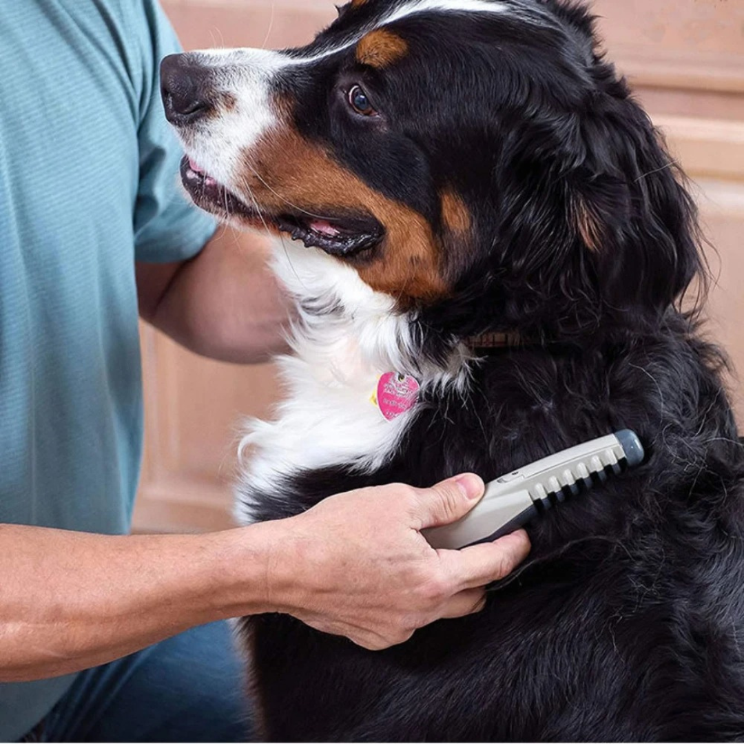 Bella | Fellona Knot-Free Pet Trimmer | Pain-Free Coat Care for Dogs & Cats | Suitable for All Coat Types