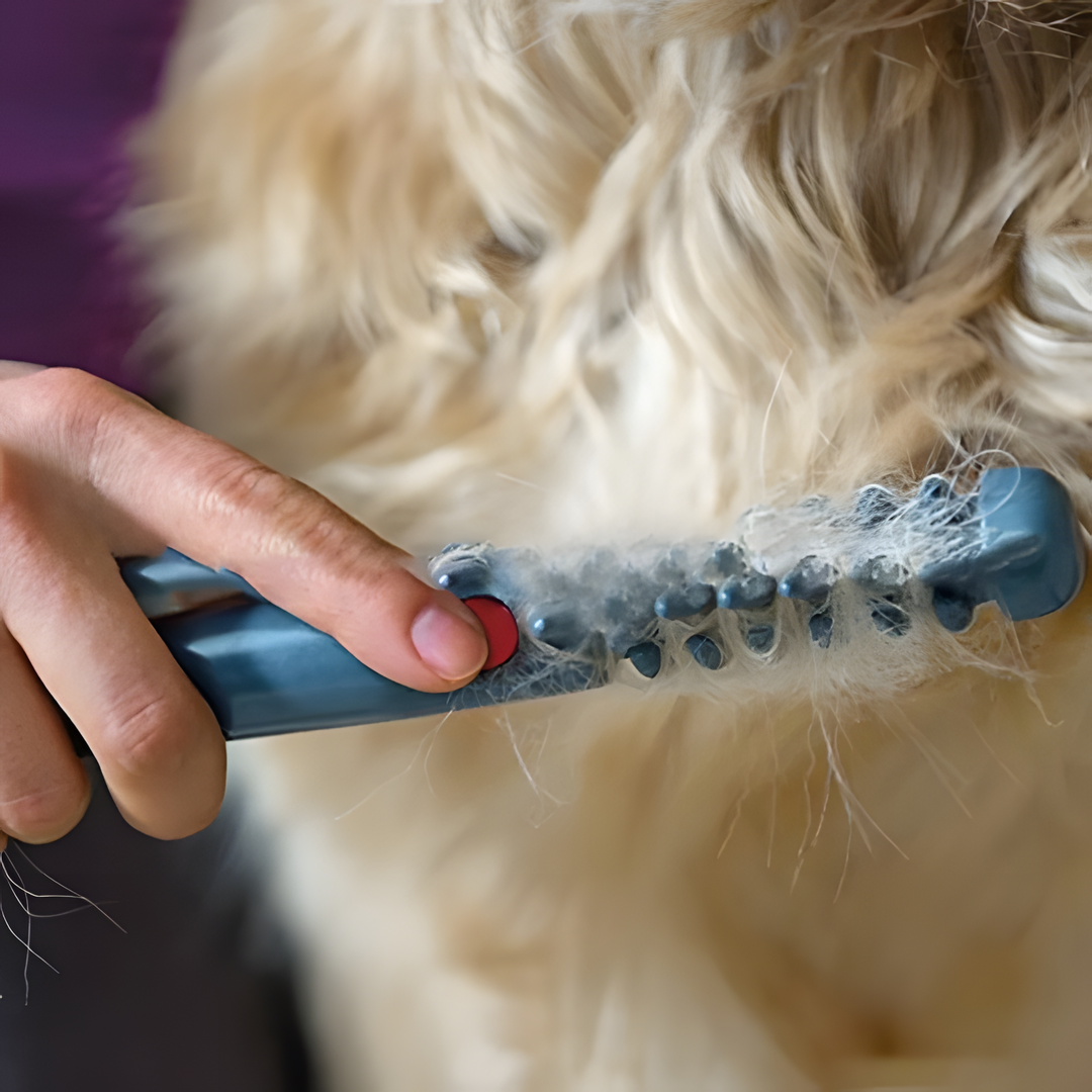 Bella | Fellona Knot-Free Pet Trimmer | Pain-Free Coat Care for Dogs & Cats | Suitable for All Coat Types