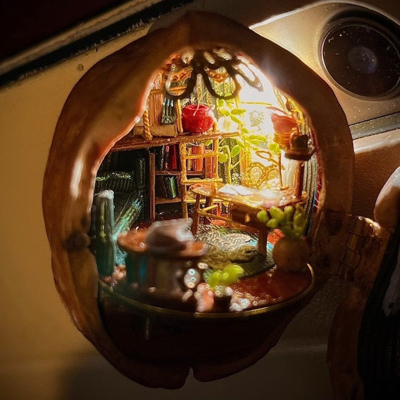 Bella Handmade Walnut Shell Dollhouse - Mini Library, Tiny World Inside Walnut