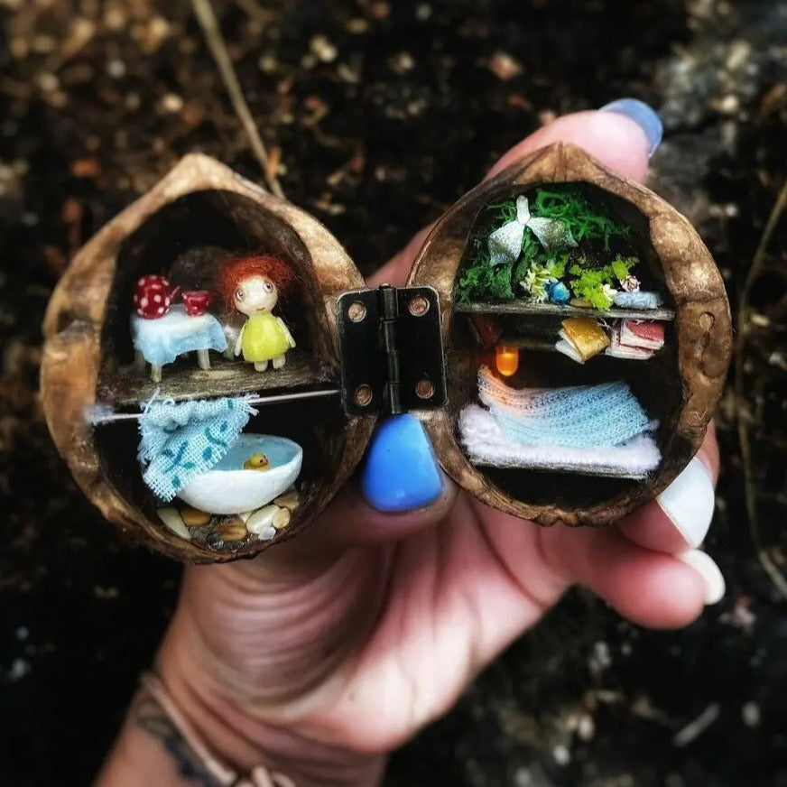 Bella Handmade Walnut Shell Dollhouse - Mini Library, Tiny World Inside Walnut