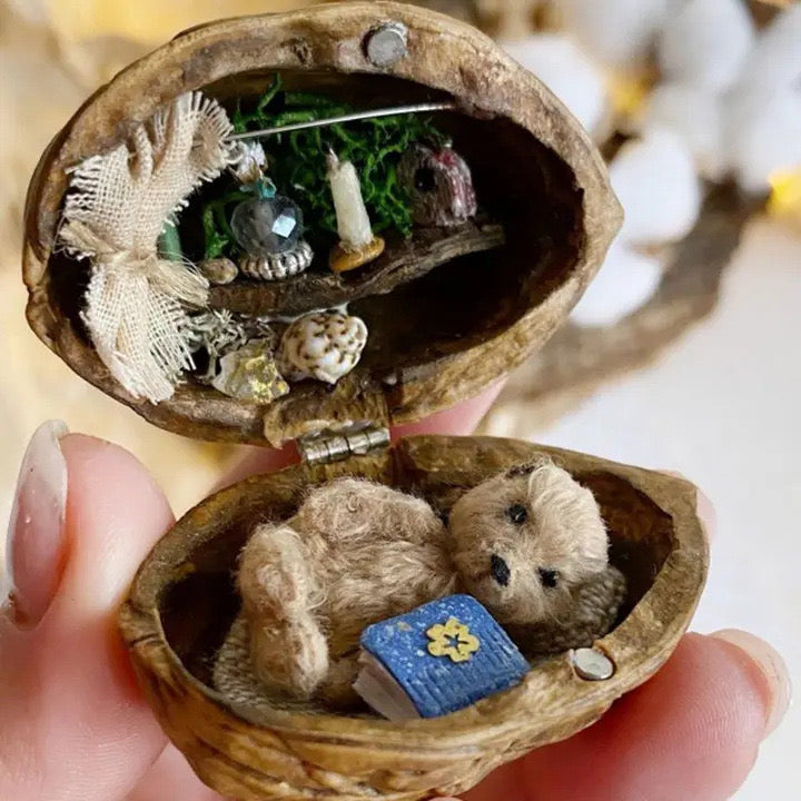 Bella Handmade Walnut Shell Dollhouse - Mini Library, Tiny World Inside Walnut