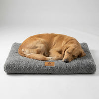 Bella | Pawventure Flat Orthopedic Foam Dog Mat