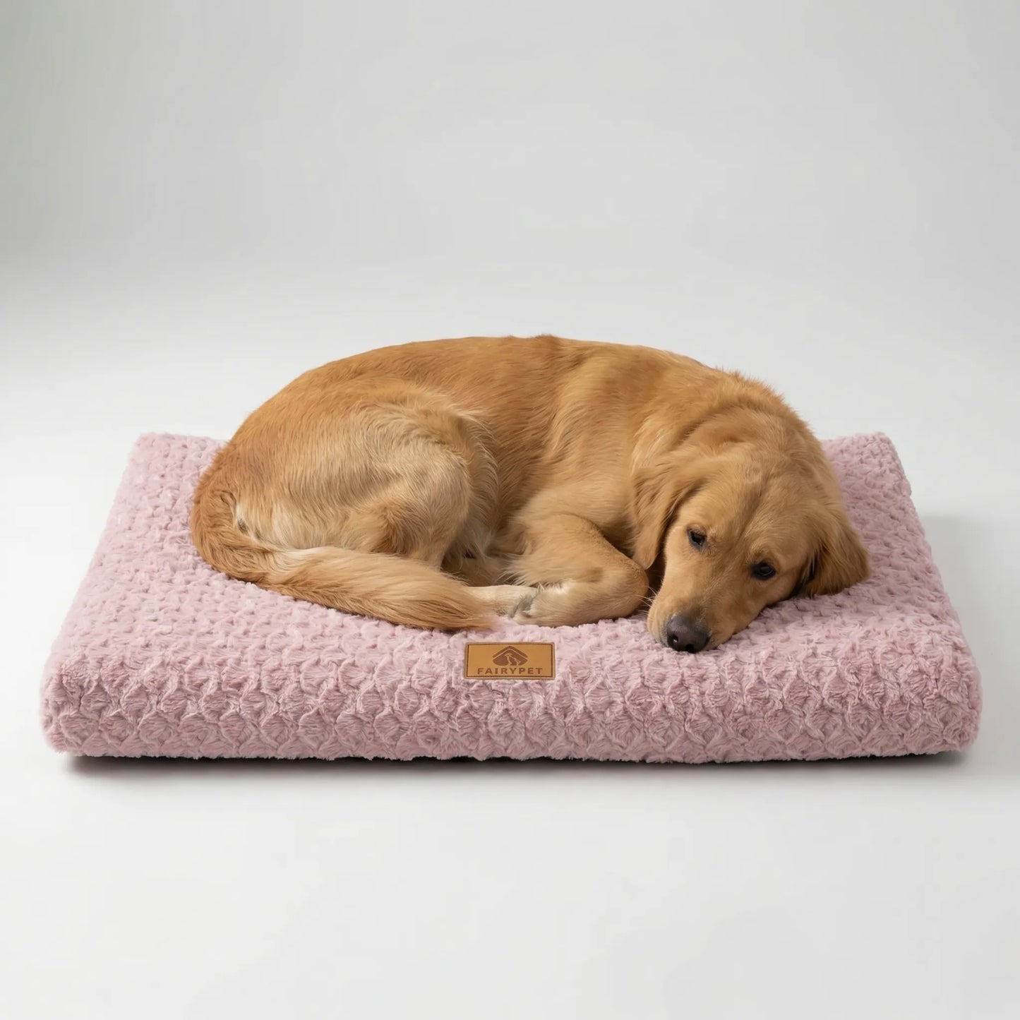 Bella | Pawventure Flat Orthopedic Foam Dog Mat