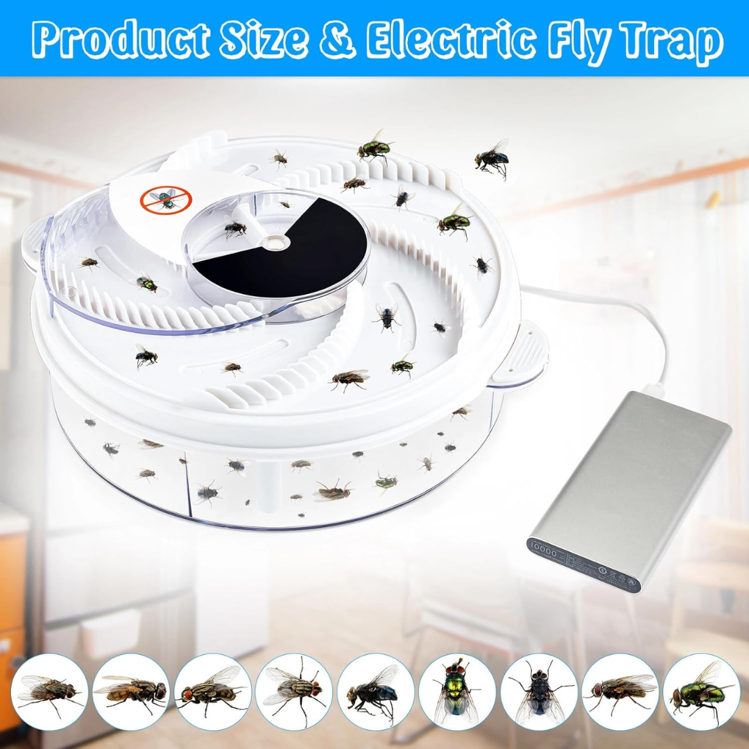 BuzzOff | Silent Fly Trap – Eco-Friendly, Non-Toxic Insect Catcher