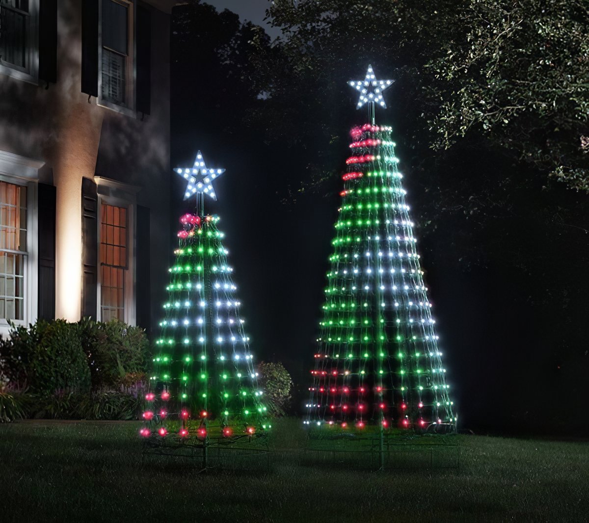 Choreographed Light Show Tree
