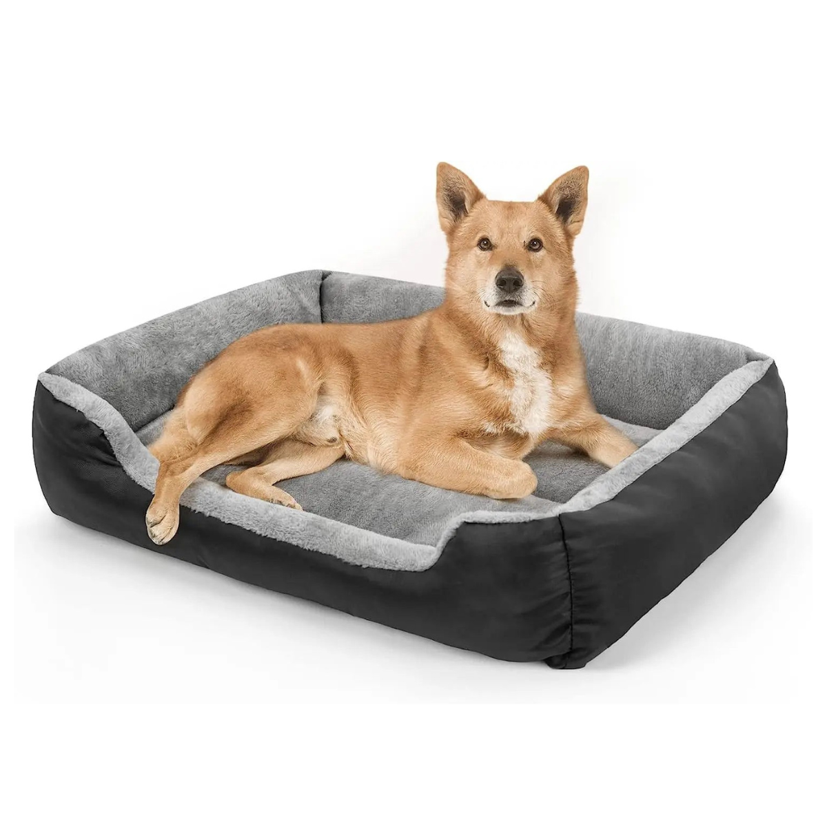 ComfortNest Dog Bed | Joint Support | Washable