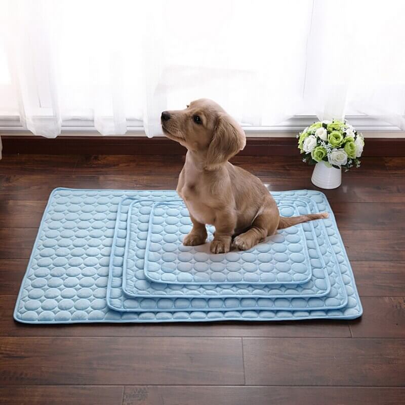 Coolmat | Heat-Absorbing Pet Mat for Cooling and Comfort