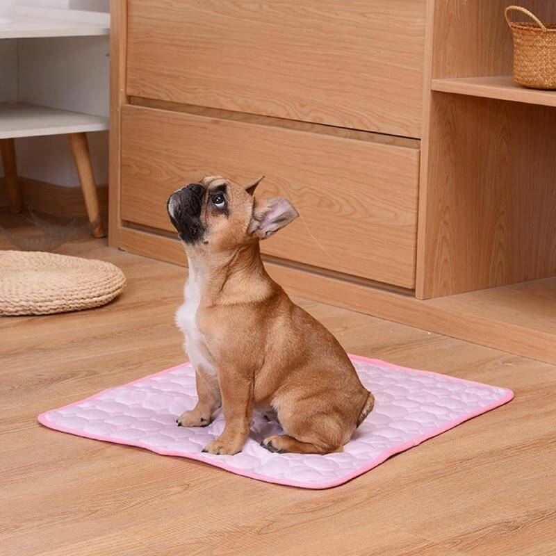 Coolmat | Heat-Absorbing Pet Mat for Cooling and Comfort
