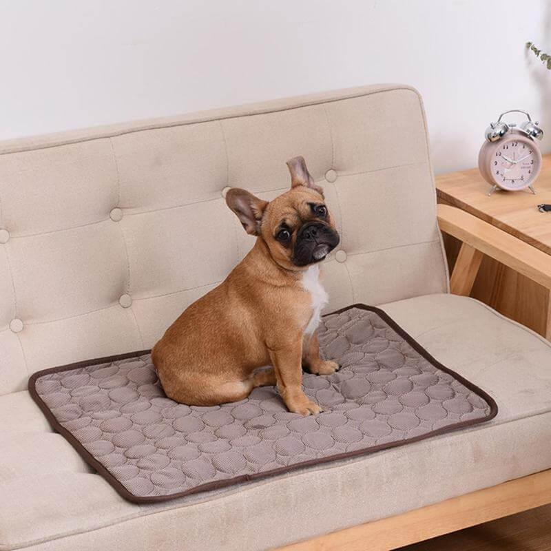 Coolmat | Heat-Absorbing Pet Mat for Cooling and Comfort
