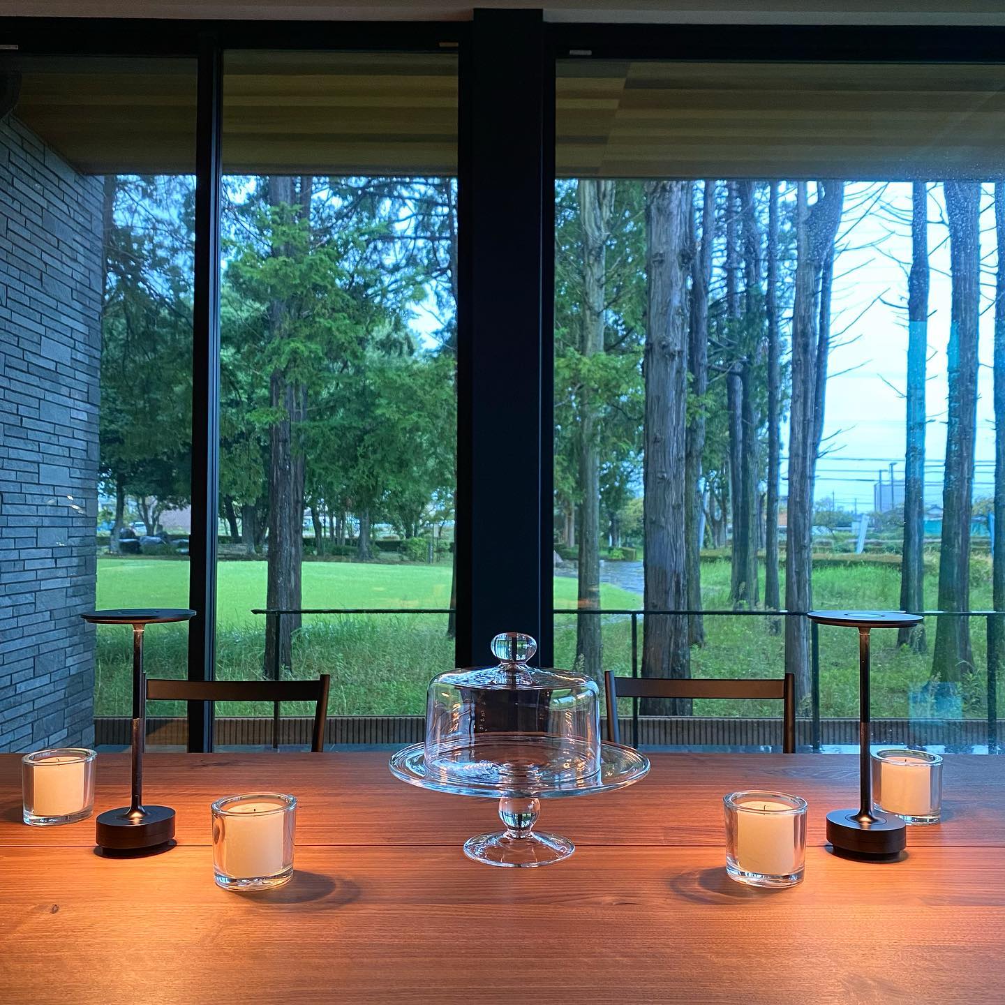 Cordless Touch Table Lamp