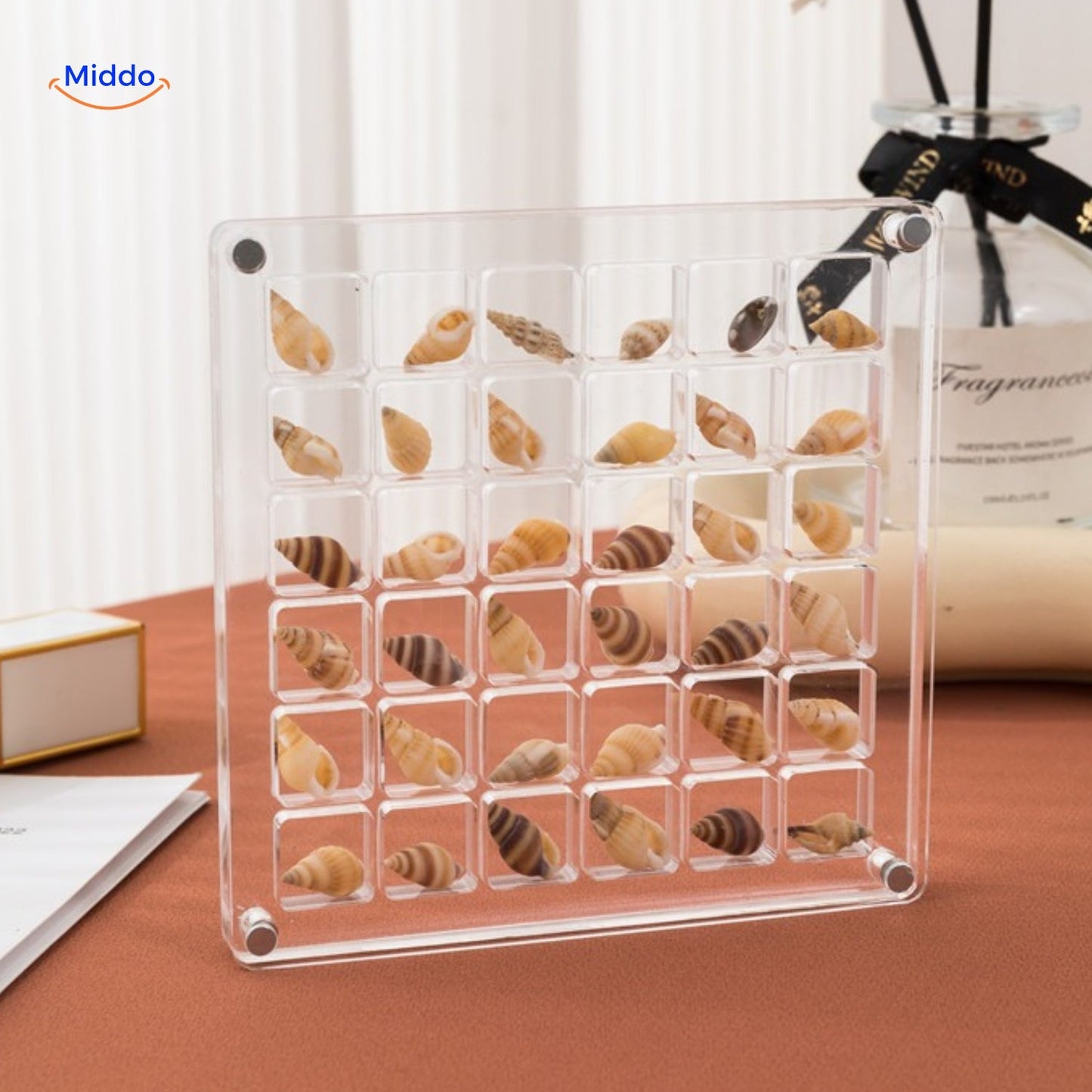 DisplayCase | The Ultimate Display Solution for Shells and More