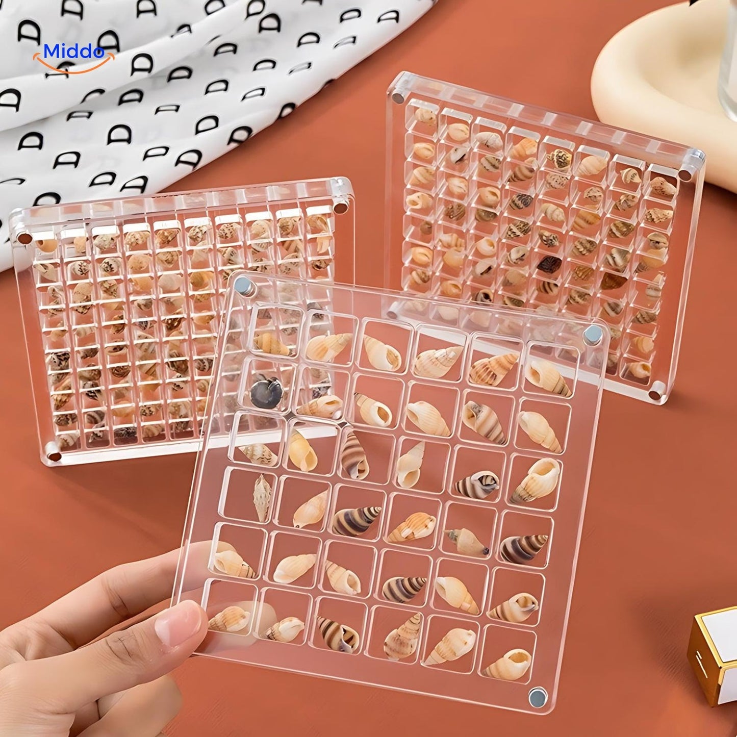 DisplayCase | The Ultimate Display Solution for Shells and More