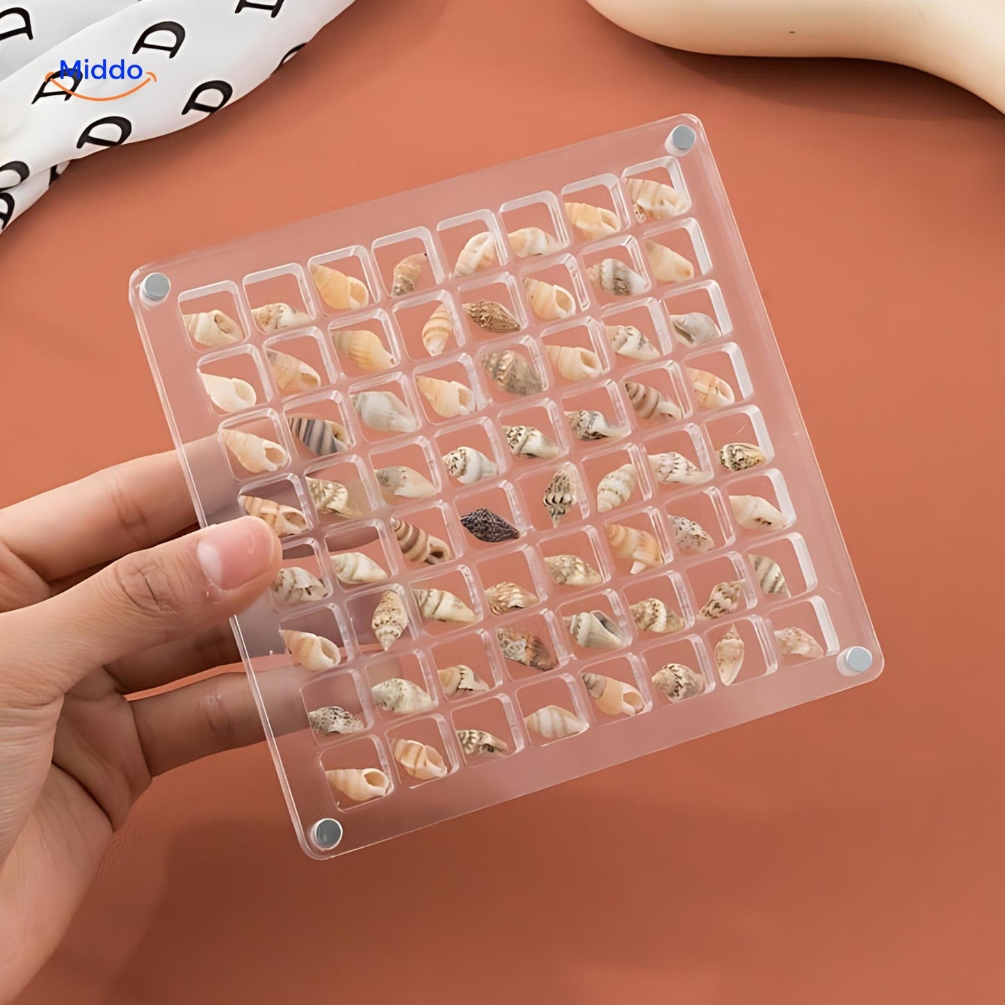 DisplayCase | The Ultimate Display Solution for Shells and More