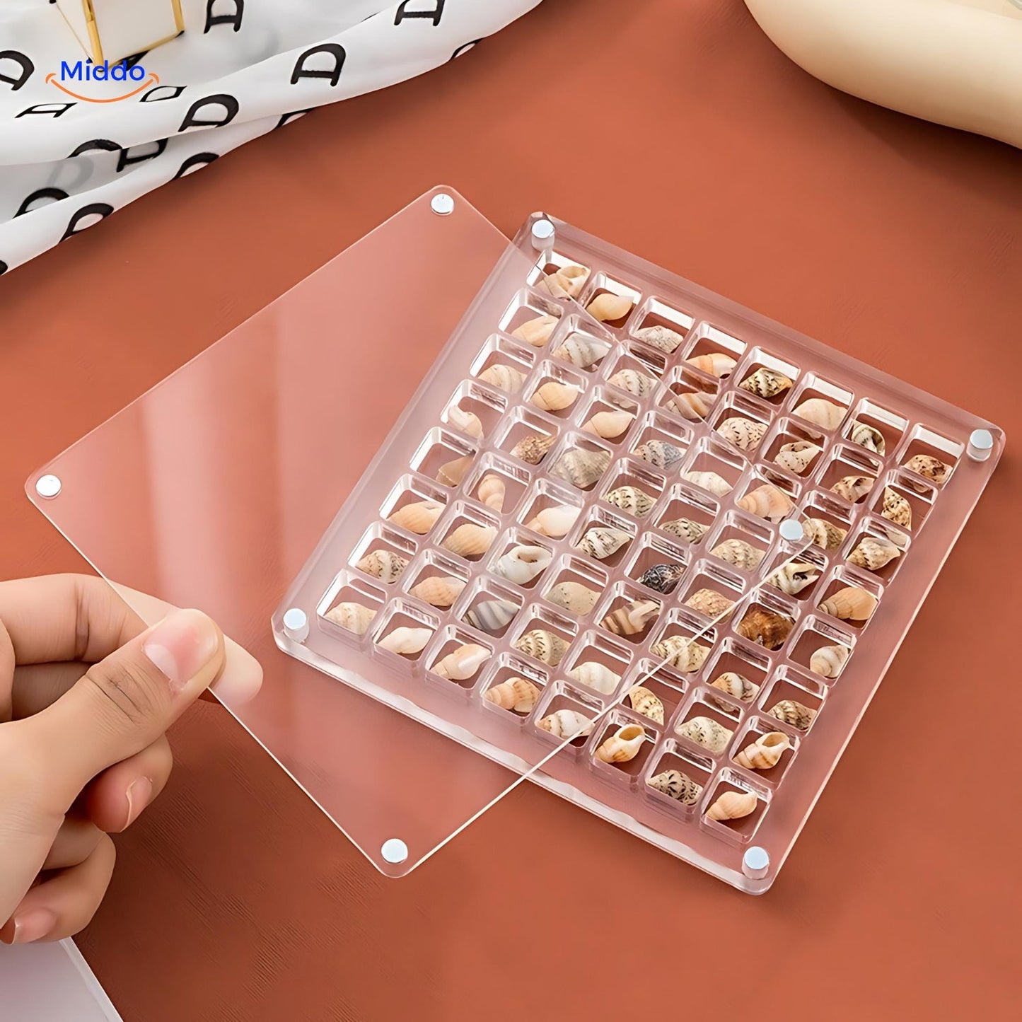 DisplayCase | The Ultimate Display Solution for Shells and More