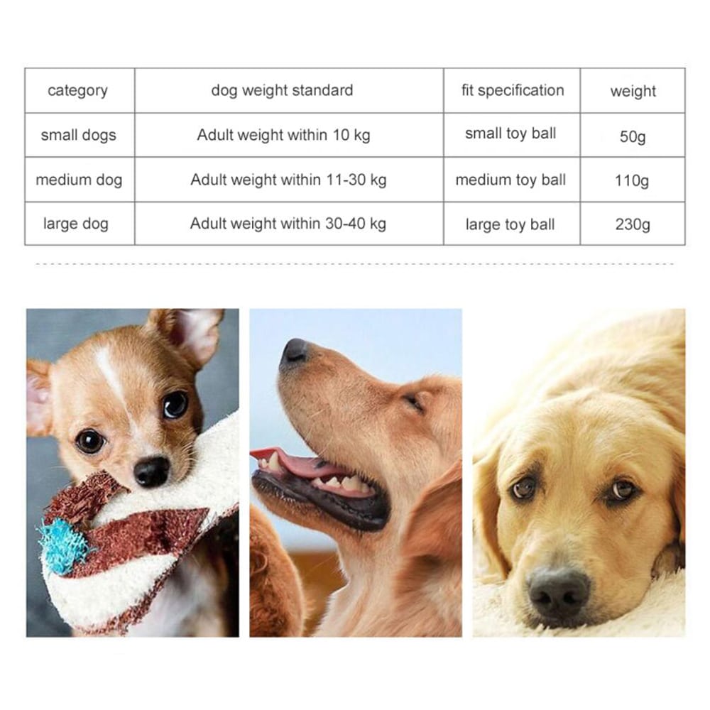 Dog Activity Ball
