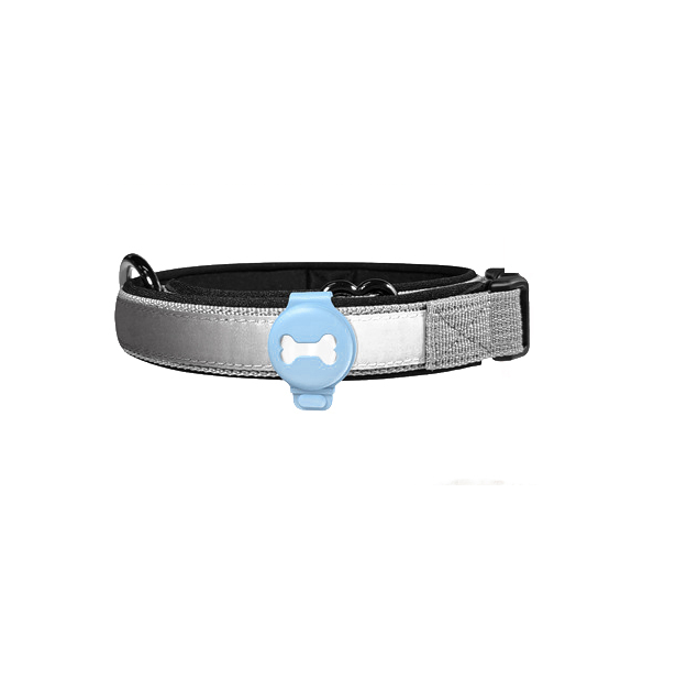 Dog GPS Tracker - Real-Time Tracking