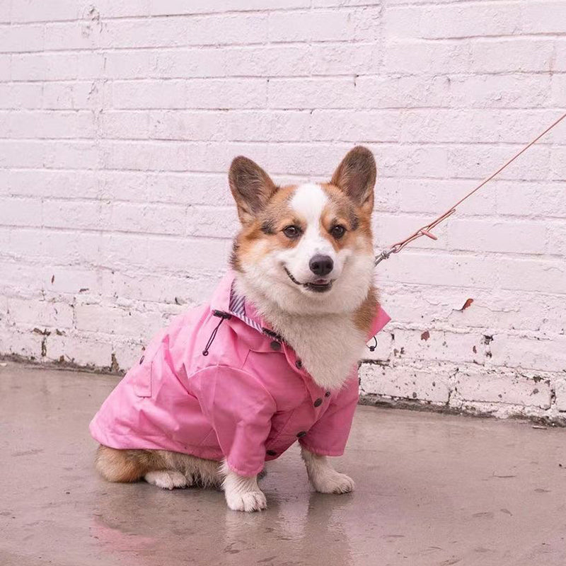 Dog Raincoat Georgie