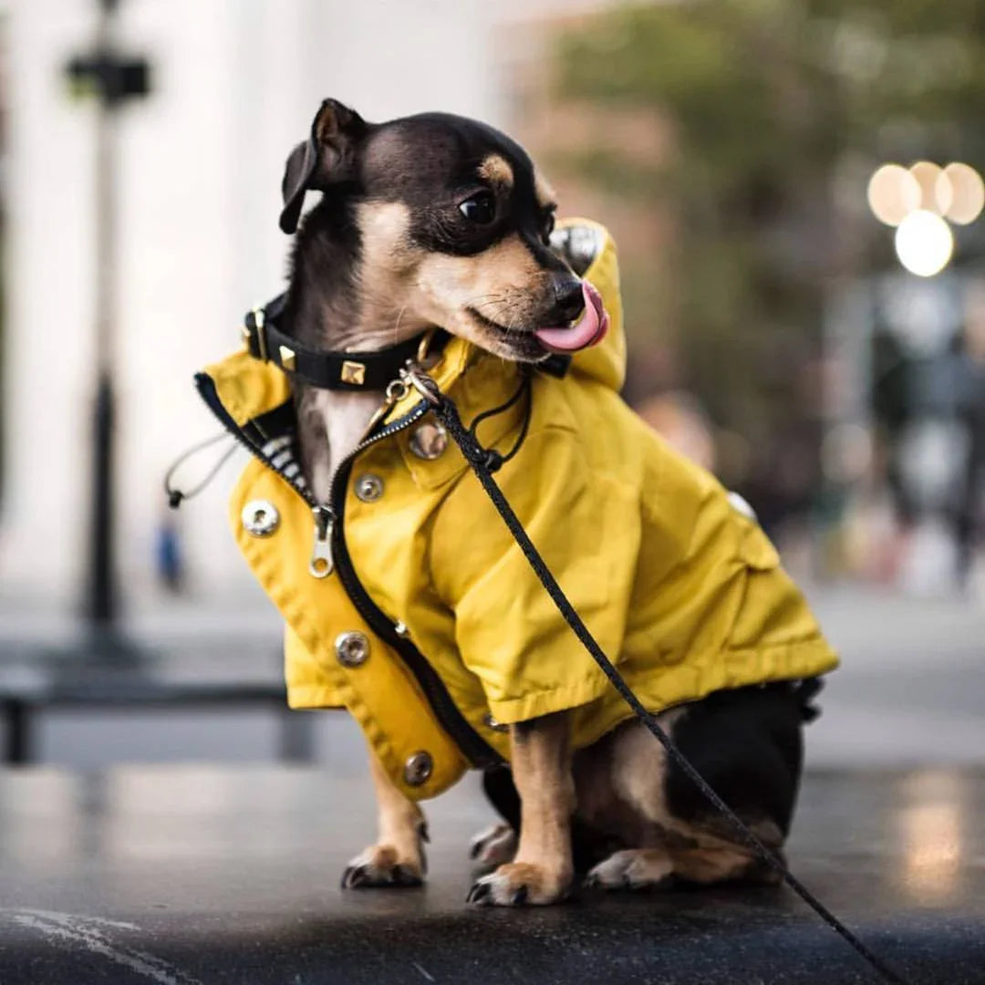 Dog Raincoat Georgie