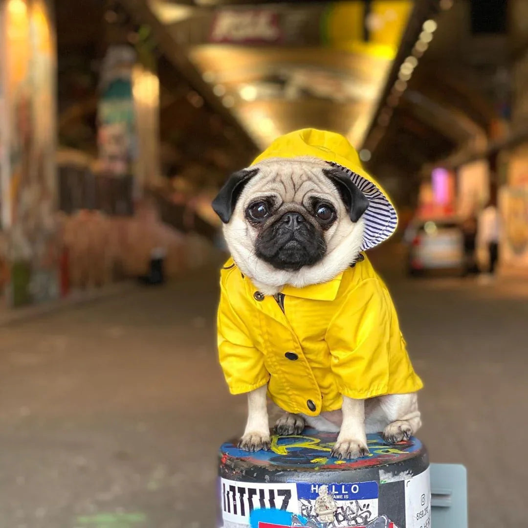 Dog Raincoat Georgie