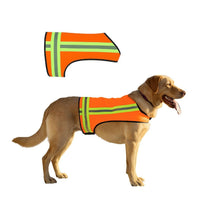 Dog Safety Vest