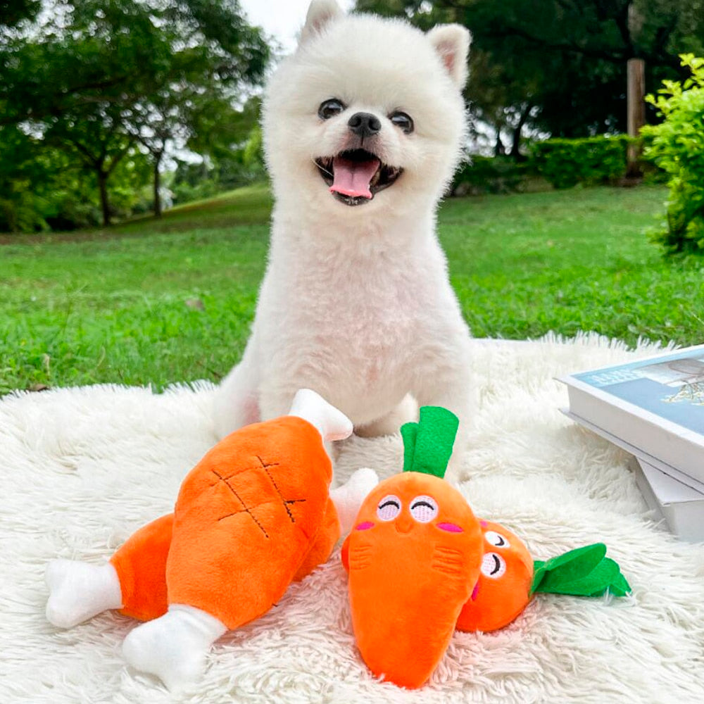 Dog Toy – Fun Carrot or Chicken Leg with Squeaker