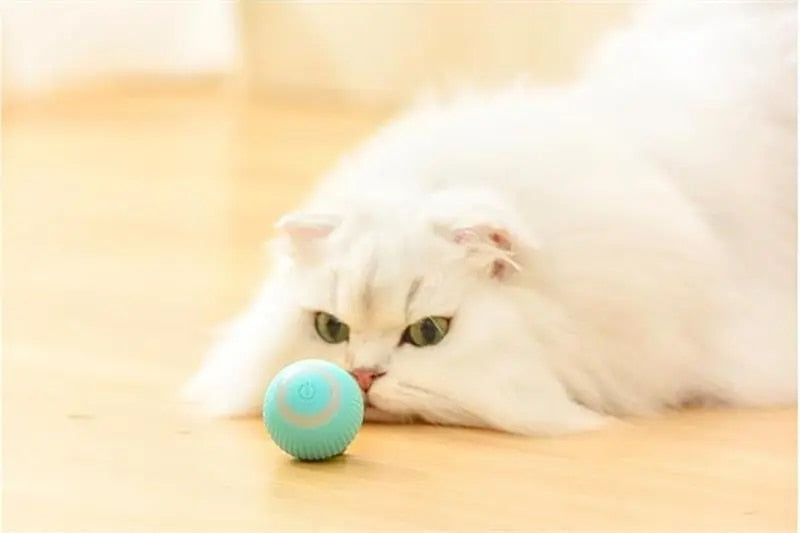 DogCatFri HuntingToy - 2-in-1 Simulated Interactive Hunting Toy