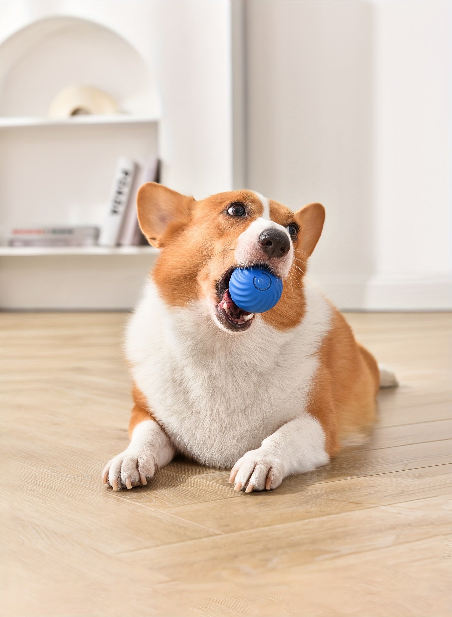 DogCatFri HuntingToy - 2-in-1 Simulated Interactive Hunting Toy