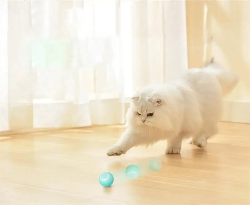DogCatFri HuntingToy - 2-in-1 Simulated Interactive Hunting Toy