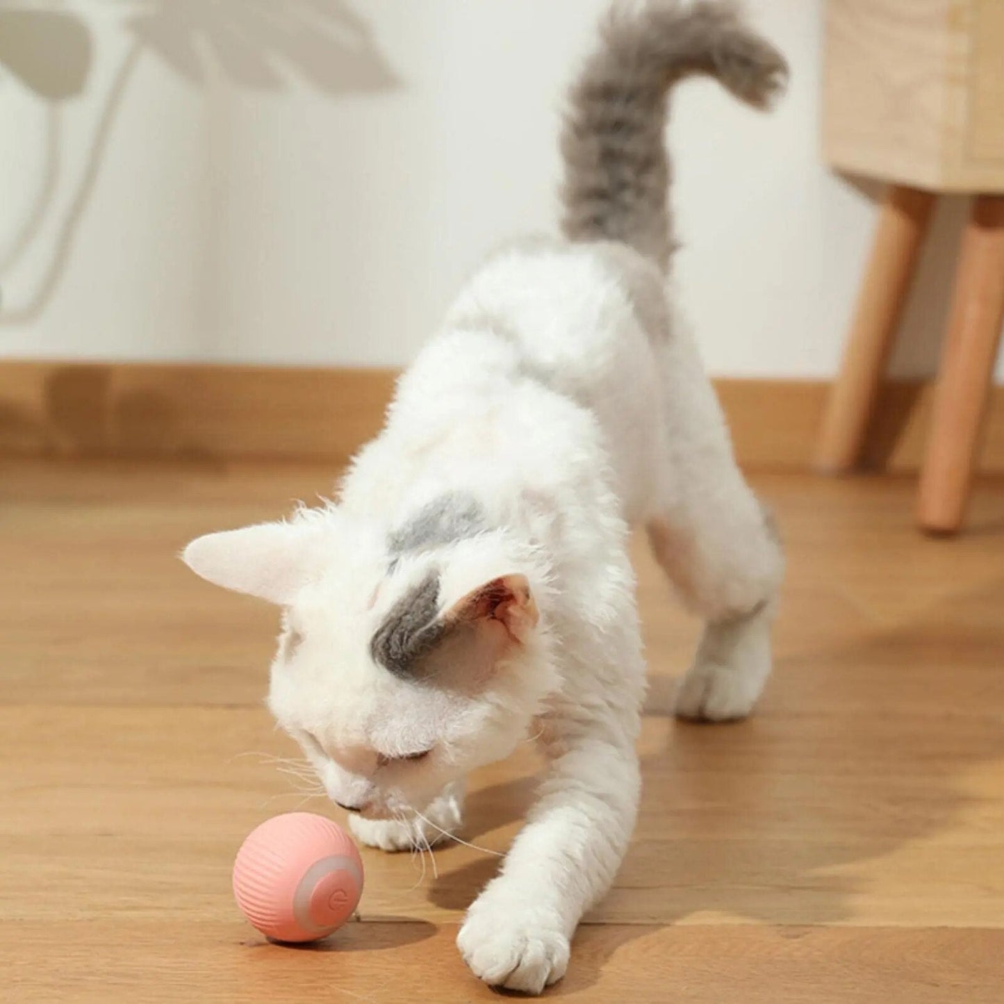 DogCatFri HuntingToy - 2-in-1 Simulated Interactive Hunting Toy