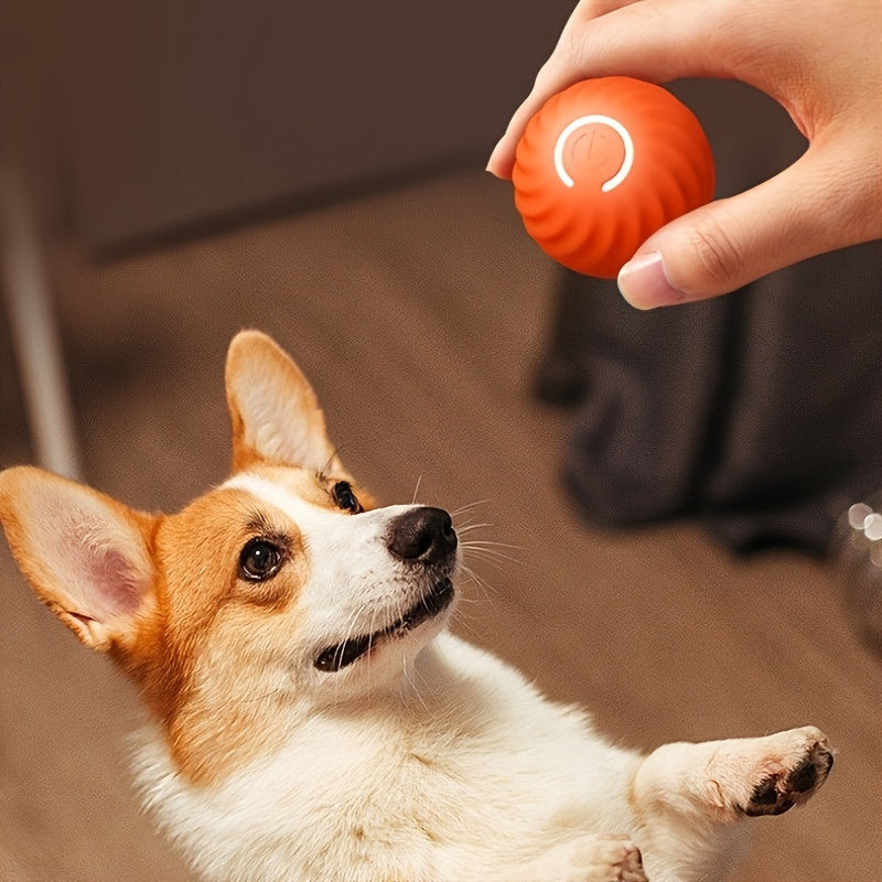 DogCatFri HuntingToy - 2-in-1 Simulated Interactive Hunting Toy