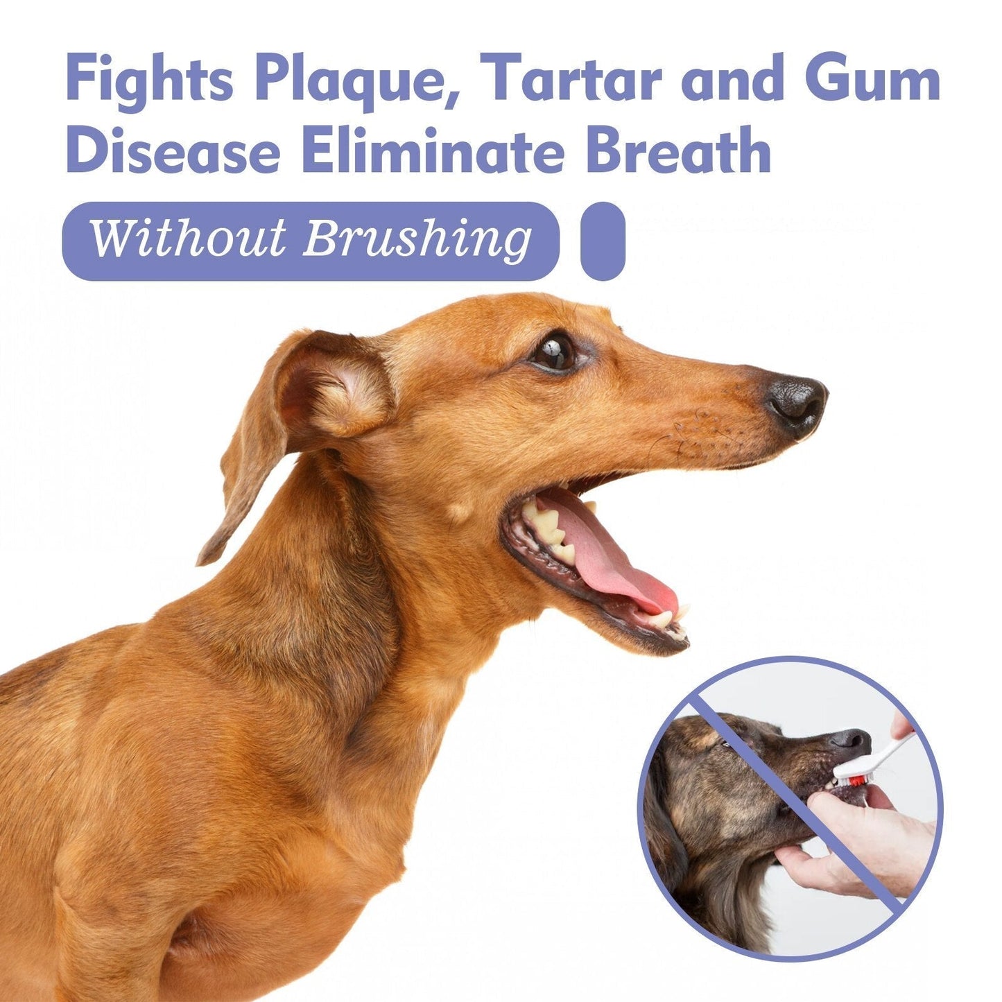 DogCatFri PetSpray: Pet Breath Freshener Spray