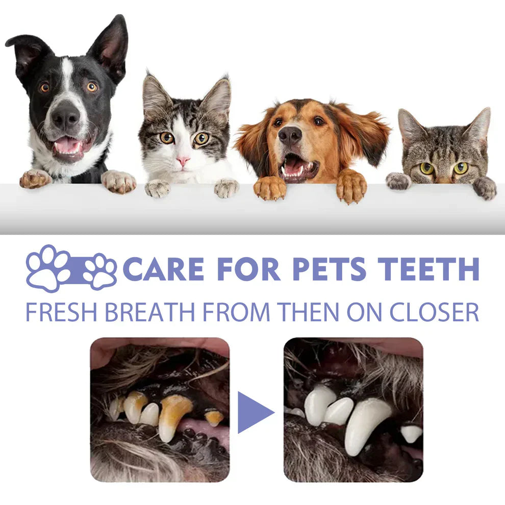 DogCatFri PetSpray: Pet Breath Freshener Spray